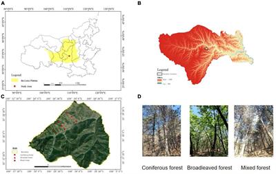 Effects of forest type on carbon storage in the hilly region of Loess Plateau, China